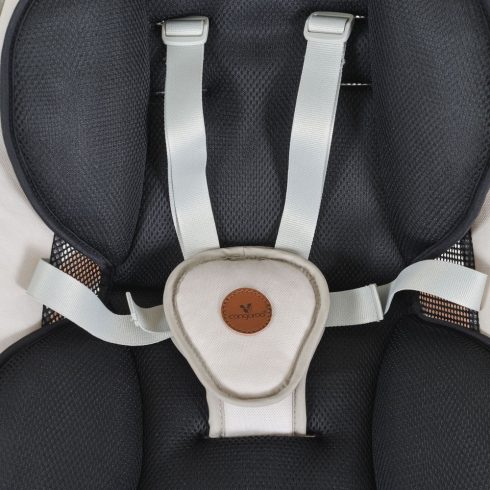 TRIUMPH e.hinta 6 hintázó,3 fekvő pozícióval, 13 zenével BÉZS